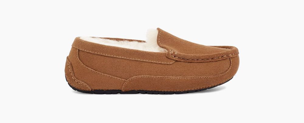 Ugg Slipper Big Kids - Ugg Ascot Brown - 456AOMSPJ